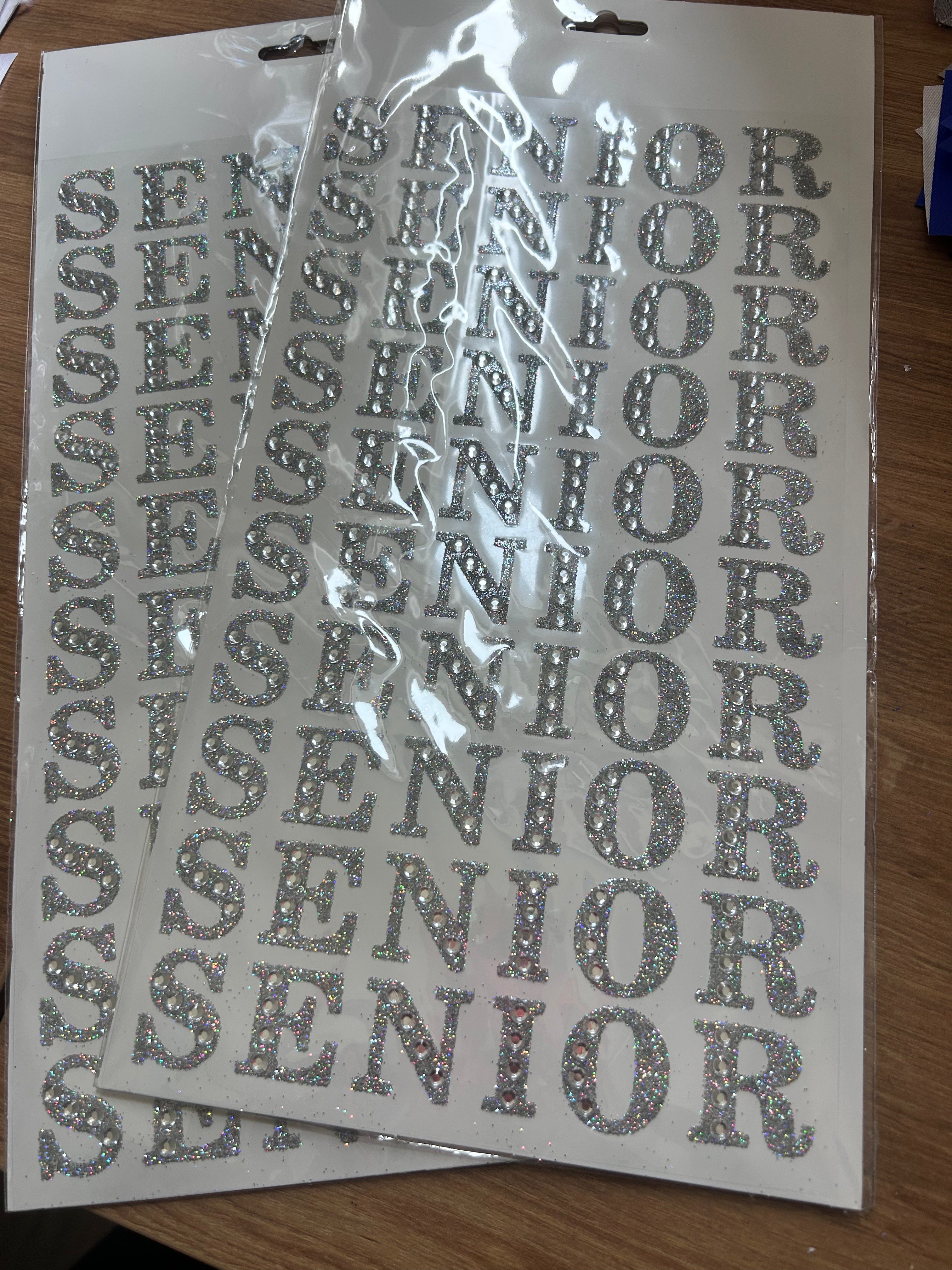 20ct- Silver 1" SENIOR Stickers